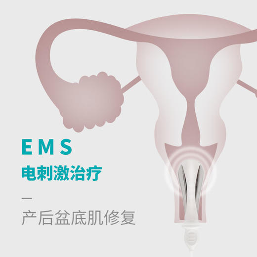麻麻康220i电极探头K20 K30A 商品图1