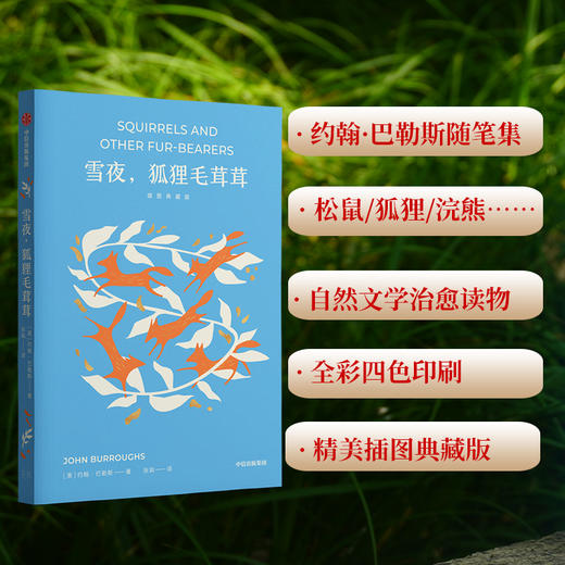 中信出版 | 雪夜 狐狸毛茸茸（插图典藏版） 商品图0