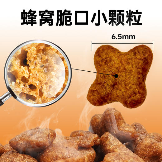 澳龙澳维康猫肝脏全价处方粮1.2kg赠50g试吃 商品图3