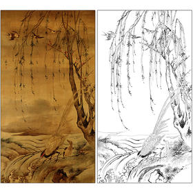 汪肇花鸟工笔画白描底稿《柳禽白鹇图》临摹勾线高清打印稿MD21
