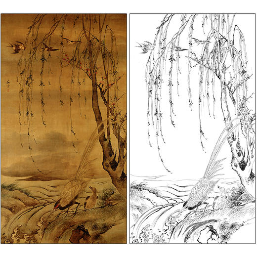 汪肇花鸟工笔画白描底稿《柳禽白鹇图》临摹勾线高清打印稿MD21 商品图0