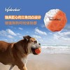 Waboba Tailwind狗狗高弹球耐咬磨牙中大型犬宠物飞盘玩具套装 商品缩略图2