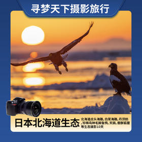 【日本北海道生态】2025年2月5日/15日连发两期 北海道虎头海雕，白尾海雕，丹顶鹤，珍稀鸟种毛脚鱼鸮，天鹅，鹿群狐狸等生态摄影10天