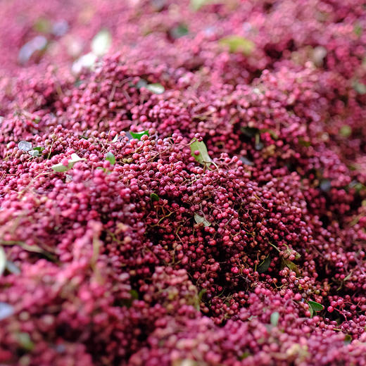 【汉源贡椒 青花椒&红花椒】国家地理标志产品 自然生长零农残无污染 干货方便存储 商品图4