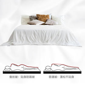 慕思  丝柔二合一蚕丝被  DSZ1-039
