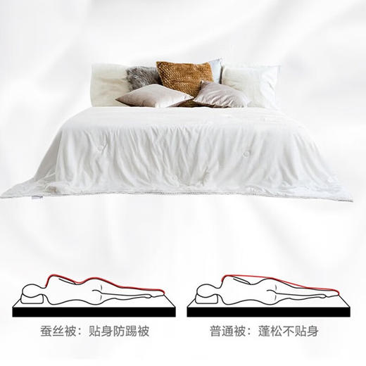慕思  丝柔二合一蚕丝被  DSZ1-039 商品图0