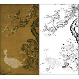 吕纪花鸟工笔画白描底稿《狮头鹅图》临摹勾线高清打印稿MD09