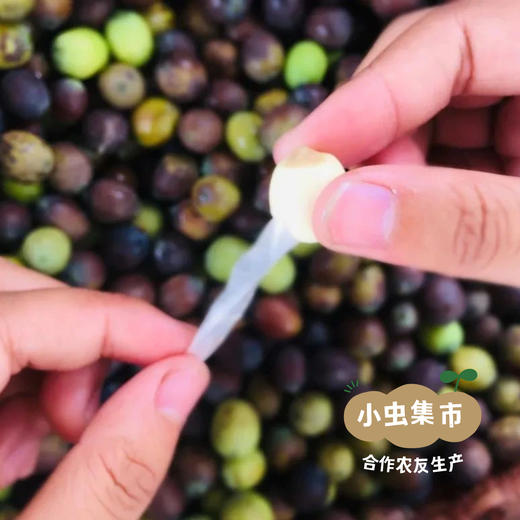 生态莲芯 50g/罐 | 合作农友生产，来自福建南平，生产者：江禄 ＆【公平贸易农人定价】 商品图8