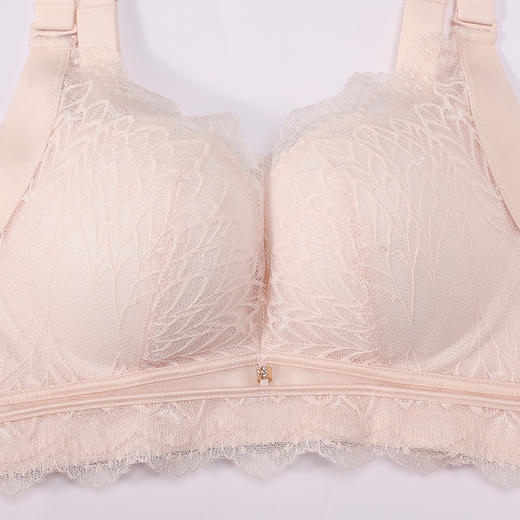 都市丽人调整型内衣舒软挺塑塑身文胸蕾丝中厚塑身内衣3/4杯四排扣LJT1H7 商品图5