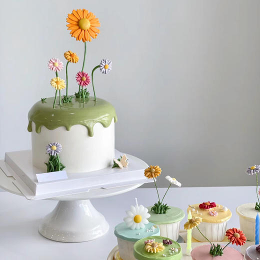 向阳新生 商品图2