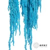 永生花材 ｜ 吊米蒂芙尼蓝 商品缩略图2