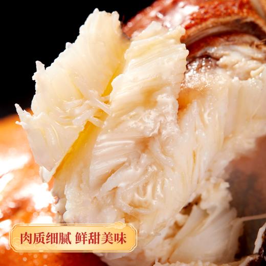  【阳澄湖大闸蟹】蟹中珍品，膏满黄肥，鲜活捕捞，震撼上市！阳澄湖顺丰冷链直发，买就送法国原装红酒！所有套组，买五赠一，买十赠二！ 商品图6
