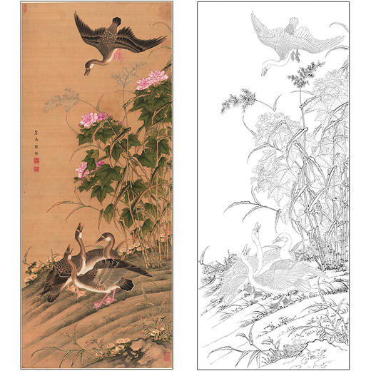 丘鉴花鸟工笔画白描底稿《芙蓉芦雁图》临摹勾线高清打印稿MD18 商品图0