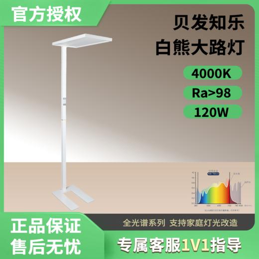 贝发知乐白熊大路灯-益光谱/全光谱-大路灯-可移动。商品支持7天无理由退换，但需用户承担商品来往快递费用。 商品图0