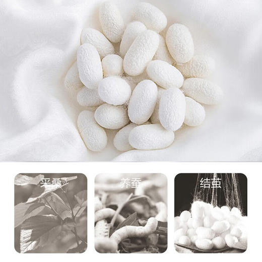 慕思  丝柔二合一蚕丝被  DSZ1-039 商品图1