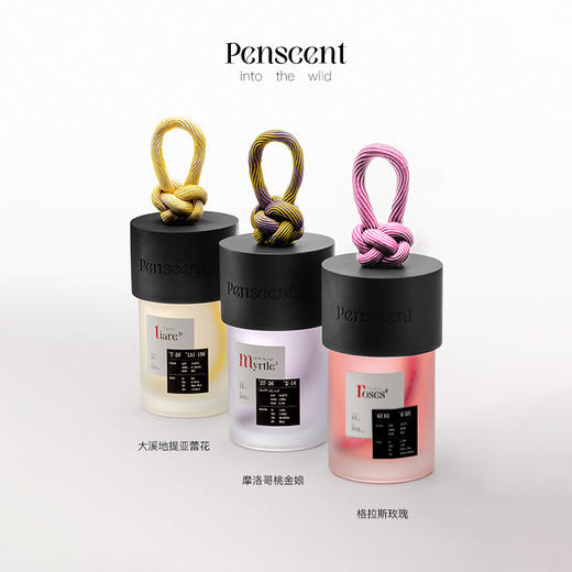 Penscent自然秘境系列绳织无火香薰格拉斯玫瑰200ml 商品图3