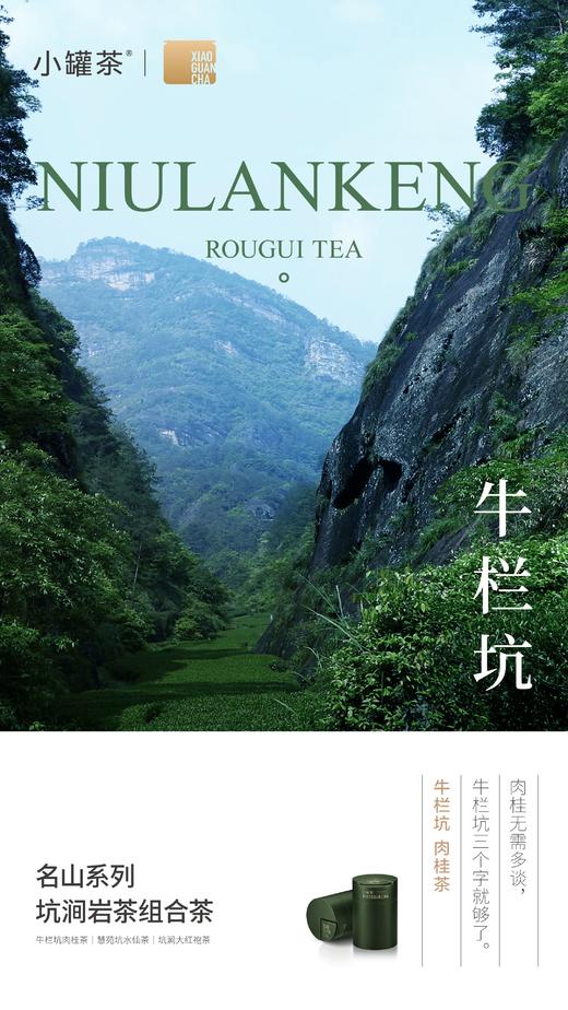 小罐茶名山系列坑涧岩茶大红袍肉桂水仙组合茶叶礼盒装送礼长辈，名山系列·坑涧岩茶组合茶9罐装 商品图4