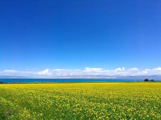 补差价专用 商品图0