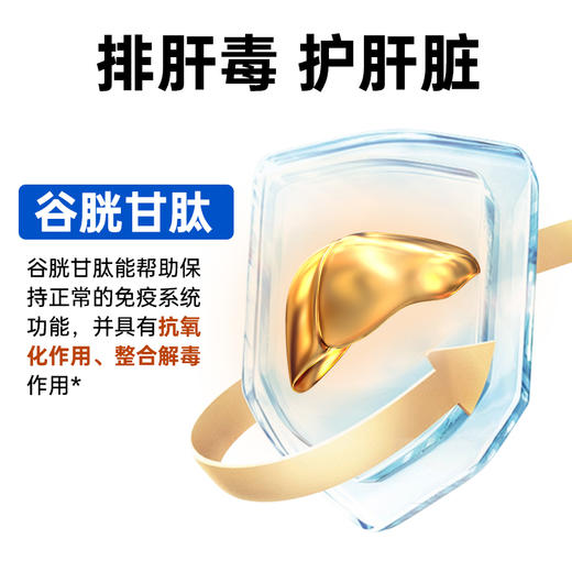 澳龙澳维康猫肝脏全价处方粮1.2kg赠50g试吃 商品图4