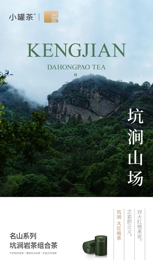 小罐茶名山系列坑涧岩茶大红袍肉桂水仙组合茶叶礼盒装送礼长辈，名山系列·坑涧岩茶组合茶9罐装 商品图6