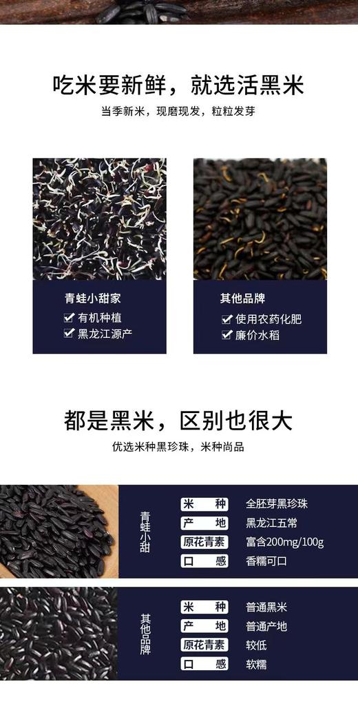 北大荒青蛙小甜活黑米可以芽五谷杂粮原花青素东北五常大米5斤 商品图5