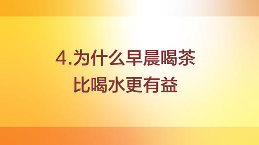 为什么早晨喝茶比喝水更有益 商品图0