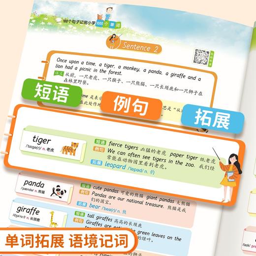 老会员小学生100个句子记完1000个单词1-6年级通用人教版小学必背单词 商品图4