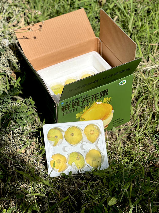 新疆阿图什新鲜无花果 新疆特产树上糖包子2盒/4盒产地直发 商品图2