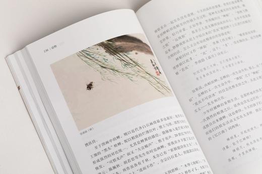 大化文章：诗画中的自然审美 商品图10