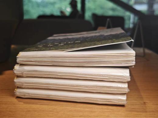 【签名毛边本】三十岁以后的写作课 从故乡开始  一本动人心弦的小说集 一堂属于成年人的写作课 商品图2