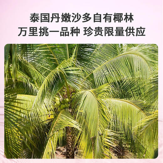 【乐刻甄选】酷可椰0色素0添加粉红椰子水180ml*10袋 商品图6