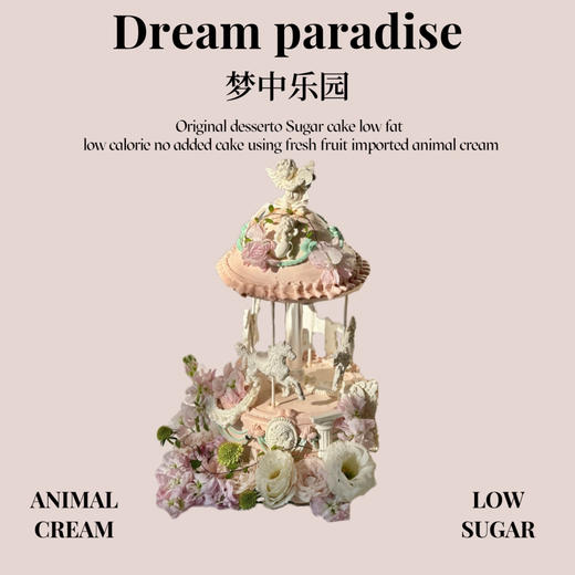 梦中乐园 商品图0