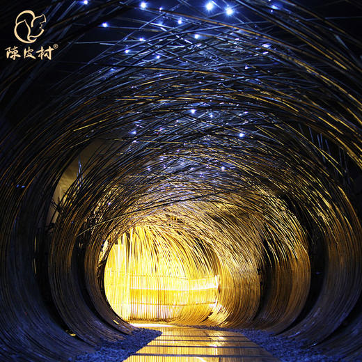 陈皮体验馆门票 | 陈皮文化之旅 商品图2