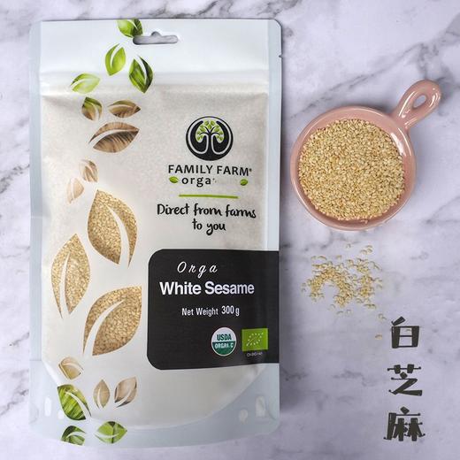 Family  Farm黄金亚麻籽仁粉小麦肧芽值物蛋白营养即食比美鱼油 商品图7