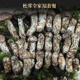 单珍卓玛手摘 香格里拉 鲜松茸 500g/1000g