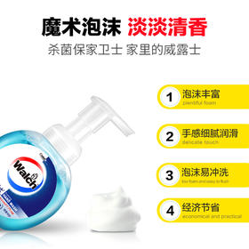 威露士泡沫抑菌洗手液健康呵护300ml