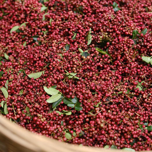 【汉源贡椒 青花椒&红花椒】国家地理标志产品 自然生长零农残无污染 干货方便存储 商品图5