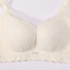 都市丽人内衣自然舒适常规文胸蕾丝中厚文胸3/4杯三排扣无钢圈LBTAA2 商品缩略图4