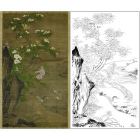 吕纪花鸟工笔画白描底稿《四季花鸟图》临摹勾线高清打印稿MD11