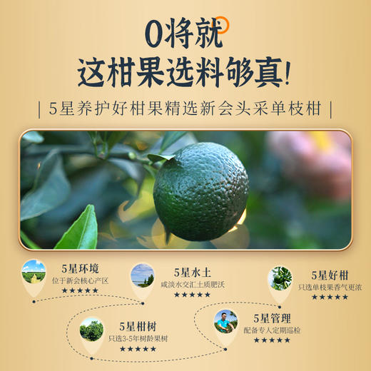 澜沧古茶2024年茶妈妈柑普茶小青柑陈皮普洱熟茶新会柑礼盒装120g 商品图3