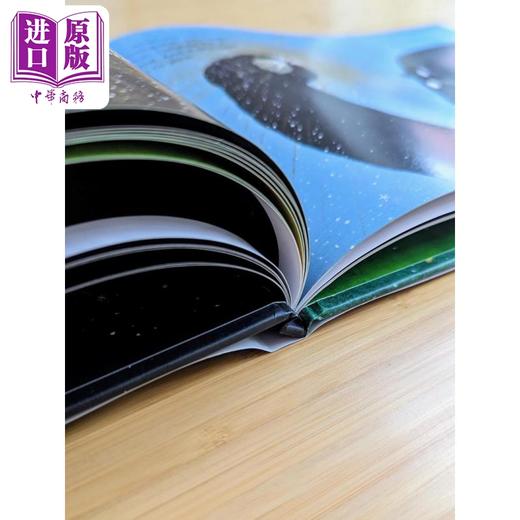 【中商原版】大白朋友与黑色影子 Cat Min The Shadow and the G host 英文原版 儿童绘本 图画故事书 精装精品绘本 进口图书 商品图3