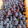 黑香妃葡萄是新疆特有的品种，老品种！甜度高，有淡淡香味，无籽，花青素含量比一般葡萄要高！净约4斤/箱 商品缩略图2