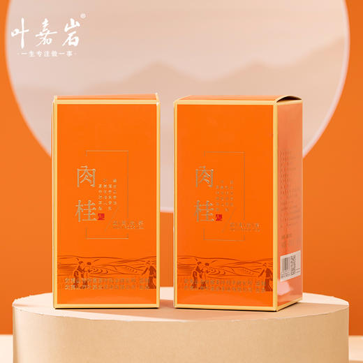 叶嘉岩铁罐肉桂/水仙/大红袍/水金龟 200g（私域专享） 商品图5