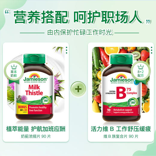Jamieson 奶蓟浓缩片90片+维生素B族75mg 90片 商品图1
