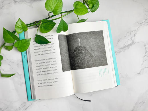 《论孤独》（陈丹青、余世存推荐；胡赳赳沉潜七年思想随笔集；深刻诠释现代人的怕和爱） 商品图11