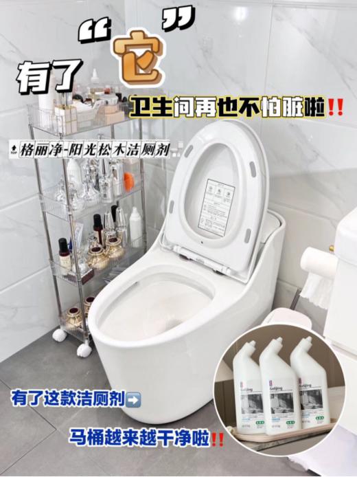 💯限量秒杀💥19.9💰到手3大瓶❗【格丽净-阳光松木洁厕剂 】 去除尿渍、污渍、黄斑等污垢超轻松~❗❗ 有了它每天都用“新”马桶🚽 商品图5