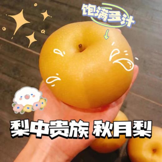 🍐🍐🍐【梨中贵族正宗秋月梨】1、果实略呈扁形，果形端正，🌿果个大。不套袋果果皮略呈青褐色，储藏后变为黄褐色 商品图0