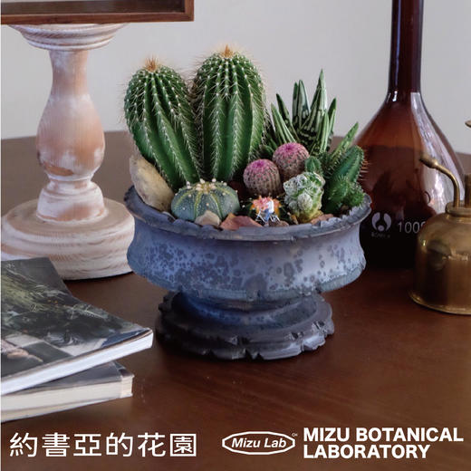 約書亞的花園-沙生植物景观礼物 商品图0