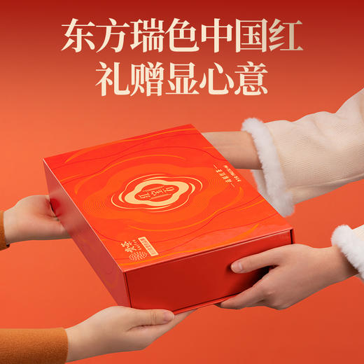 【贵茶】红宝石红茶·中国红礼盒2023版198g 商品图1