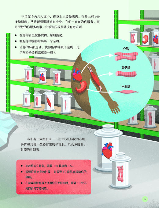 《人体简史：少儿彩绘版》 商品图7